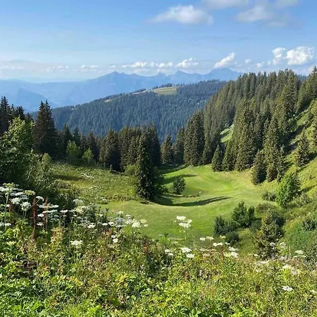 Vue Panoramique Sur Les Montagnes Plein Sud - T2 Skis Aux Pieds, Piscine & Διαμέρισμα Flaine